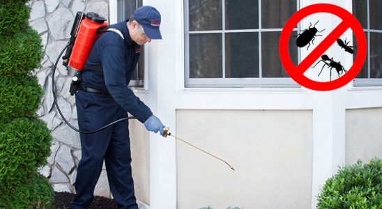 Tut Karınca İlaçlama böcek ilaçlama ve haşere kontrolü — ilaclama-tr.com